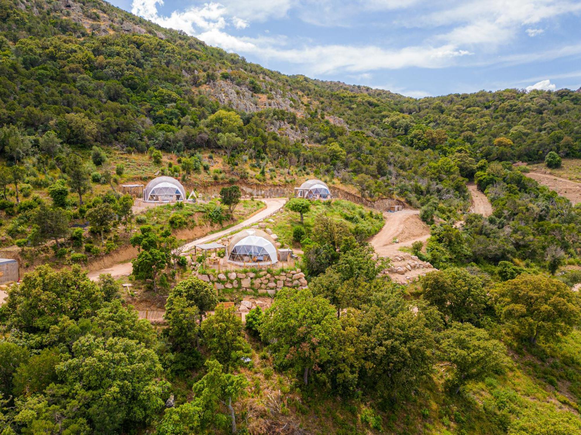 פורטו-וישיו Domaine De Sonia - Logements Eco-Insolites מראה חיצוני תמונה